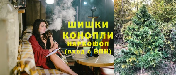 сатива Алексин