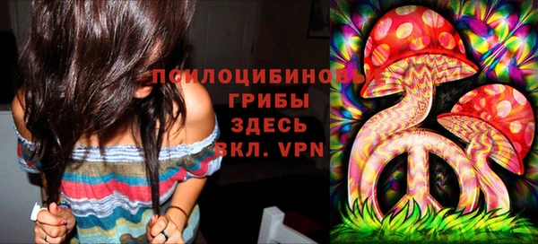 сатива Алексин
